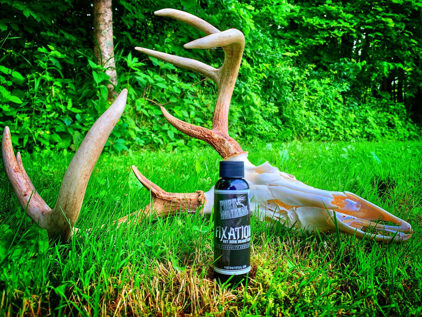 Pure Whitetail Fixation